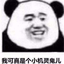 小机灵鬼