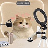 猫咪 可爱 沙雕 搞怪