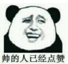 暴漫 熊猫头 帅的人已经点赞 搞笑 逗 沙雕