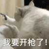 萌宠 猫咪 我要开枪了 呆萌 可爱