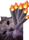 猫猫狗狗 透明底 沙雕 搞笑 逗