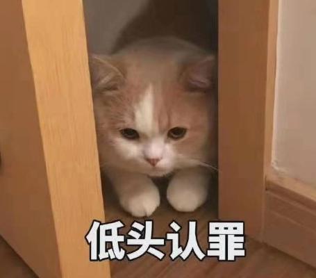 搞笑gif逗gif文字表情包gif沙雕gif魔性gif