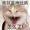 萌宠 猫咪 怎么了我就是神经病 呆萌 可爱
