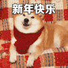 新年快乐 过年 祝贺 可爱 日常