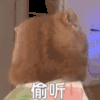 萌宠 猫咪 偷听 呆萌 可爱