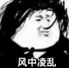 暴漫 熊猫头 风中凌乱 搞怪 逗