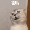 哇哦 兴奋 沙雕 搞笑