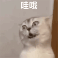哇哦 兴奋 沙雕 搞笑