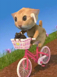 阿米嘎蒂朵 猫咪 喵喵 可爱 搞怪