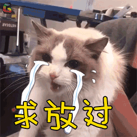 萌宠 猫咪 猫 伤心 求放过 soogif soogif出品