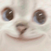 猫咪 坏笑 可爱 沙雕 逗