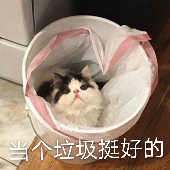 萌娃猫星人当个垃圾挺好的我很好呆萌搞怪gif动图_动态图_表情包下载