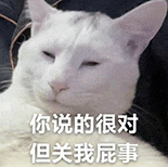 萌寵 貓咪 你說(shuō)的很對(duì)但關(guān)我屁事 呆萌 可愛(ài)