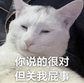 萌宠 猫咪 你说的很对但关我屁事 呆萌 可爱