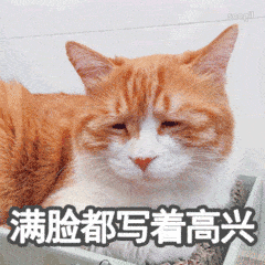 猫咪