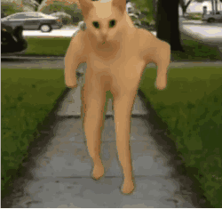 猫咪 跳舞 抽象 搞怪