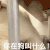 萌宠 猫咪 你在狗叫什么 呆萌 可爱