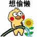 小黄鸡 崽崽 可爱 搞怪