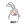可爱 沙雕 感动不 搞笑 逗