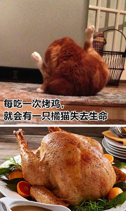 差点我就信了gif搞笑gif文字表情包gif萌宠gif逗gif