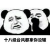 暴漫 熊猫头 十八级台风都拿你没辙 搞怪 逗