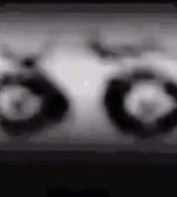 暴漫 熊猫头 无语 搞怪 逗