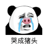 暴漫 熊猫头 哭成猪头 搞怪 逗
