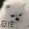 萌宠 狗狗 忍住 呆萌 可爱
