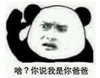 暴漫 熊猫头 你说我是你爸爸 搞笑 逗 沙雕
