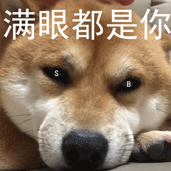 满眼写着喜欢图片_满眼写着喜欢动态图_满眼写着喜欢表情包gif动图