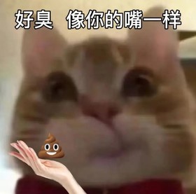 歪嘴小猫 沙雕 搞笑 逗