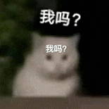 萌寵 貓咪 我嗎 呆萌 可愛