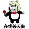 暴漫 熊猫头 等天鹅 搞笑 逗