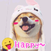happy 开心 快乐 可爱
