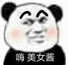 暴漫 熊猫头 嗨美女酱 搞怪 逗