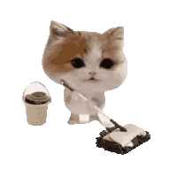 猫meme 沙雕 搞怪 可爱