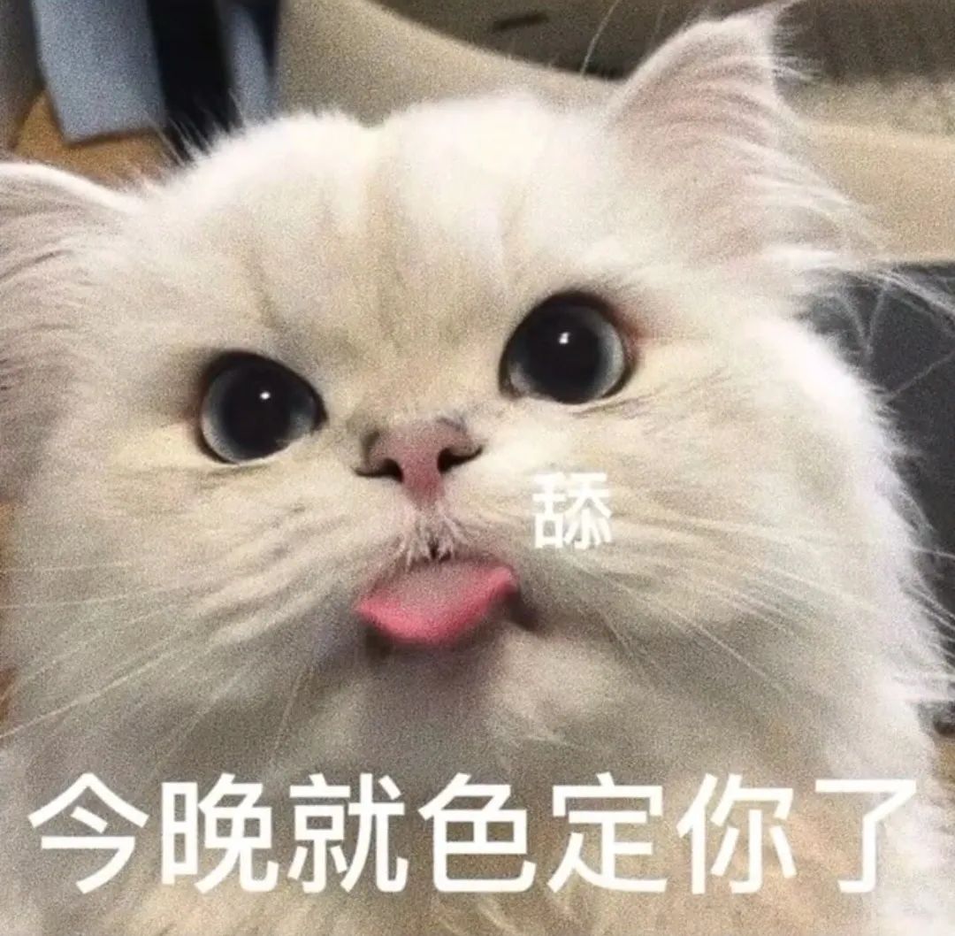 猫猫表情包 刺激啊图片