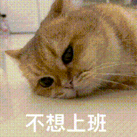 萌宠 猫咪 不想上班 呆萌 可爱