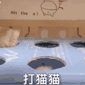 萌宠 猫咪 打猫猫 呆萌 可爱