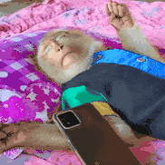 吗喽 猴子 沙雕 搞怪