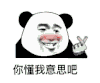 暴漫 熊猫头 你懂我意思吧 搞怪 逗