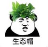 暴漫 文字表情包 生态帽 搞笑 逗 沙雕
