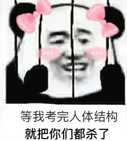 专业表情包