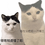 萌宠