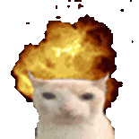 萌宠 猫咪 生气 呆萌 可爱