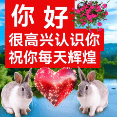 你好很高兴认识你 兔子 沙雕 搞怪