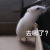 人去哪了 人都去哪了 去哪了 去哪啦 搞笑 沙雕 逗