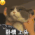 萌宠 猫咪 卧槽上头 呆萌 可爱