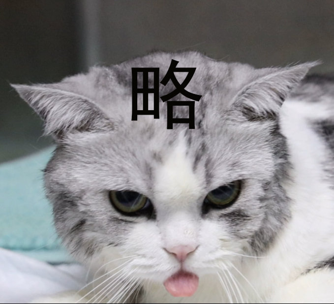猫咪省略号表情包图片