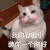 萌宠 猫咪 我的心很小 装你一个刚好 呆萌 可爱